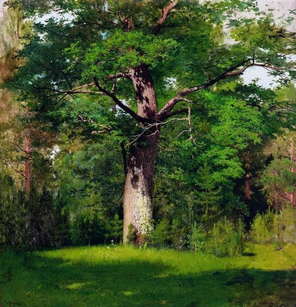 картины Левитана пейзажи Дуб. 1880