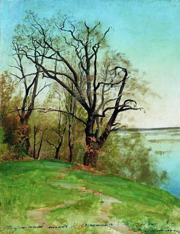 Дуб на берегу реки. 1887